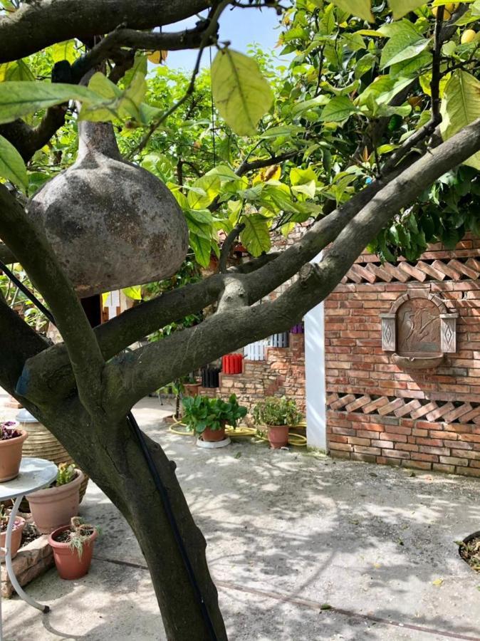 Villa Muzhaqi Nivice Kültér fotó
